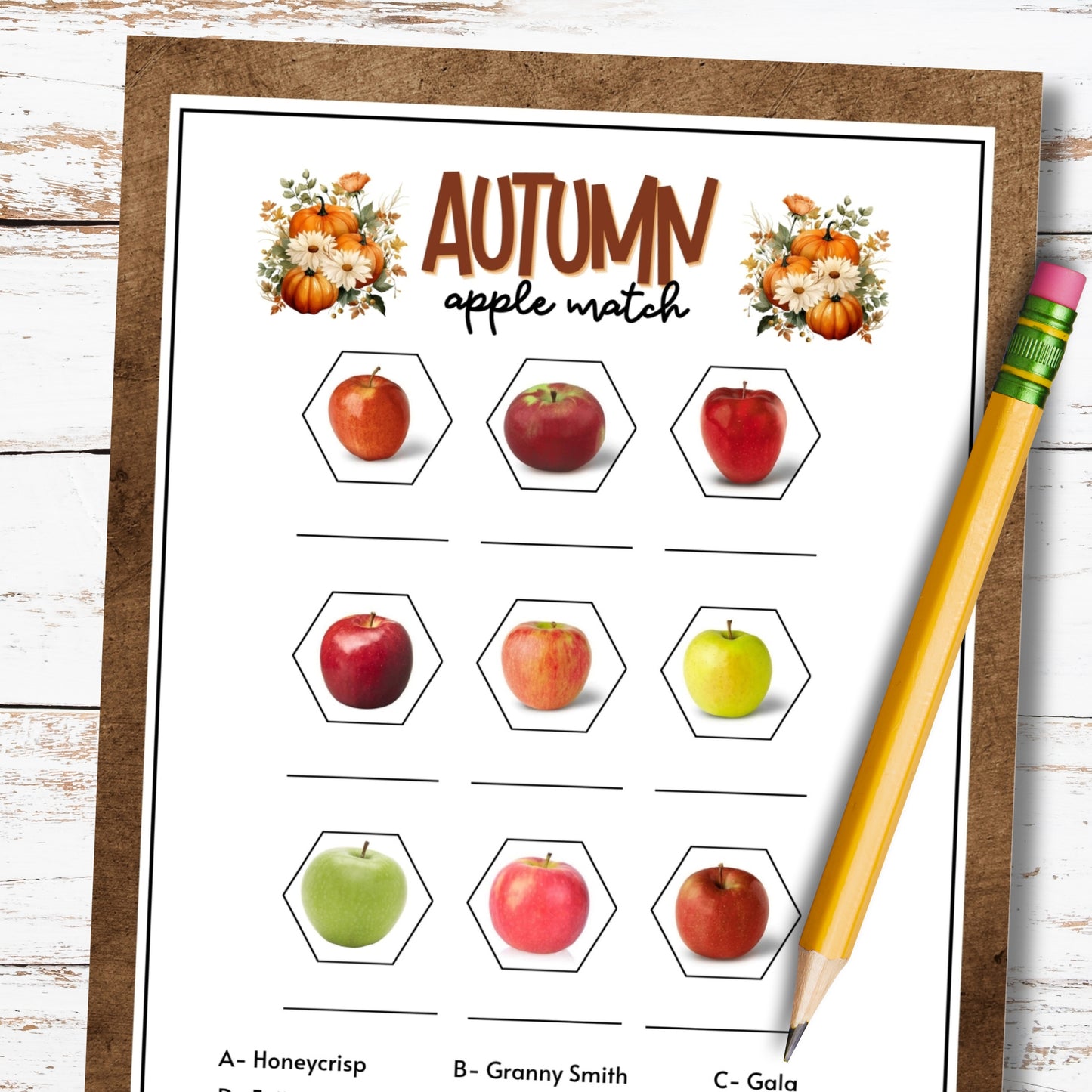 Fall Apple Picture Trivia Match Party Game