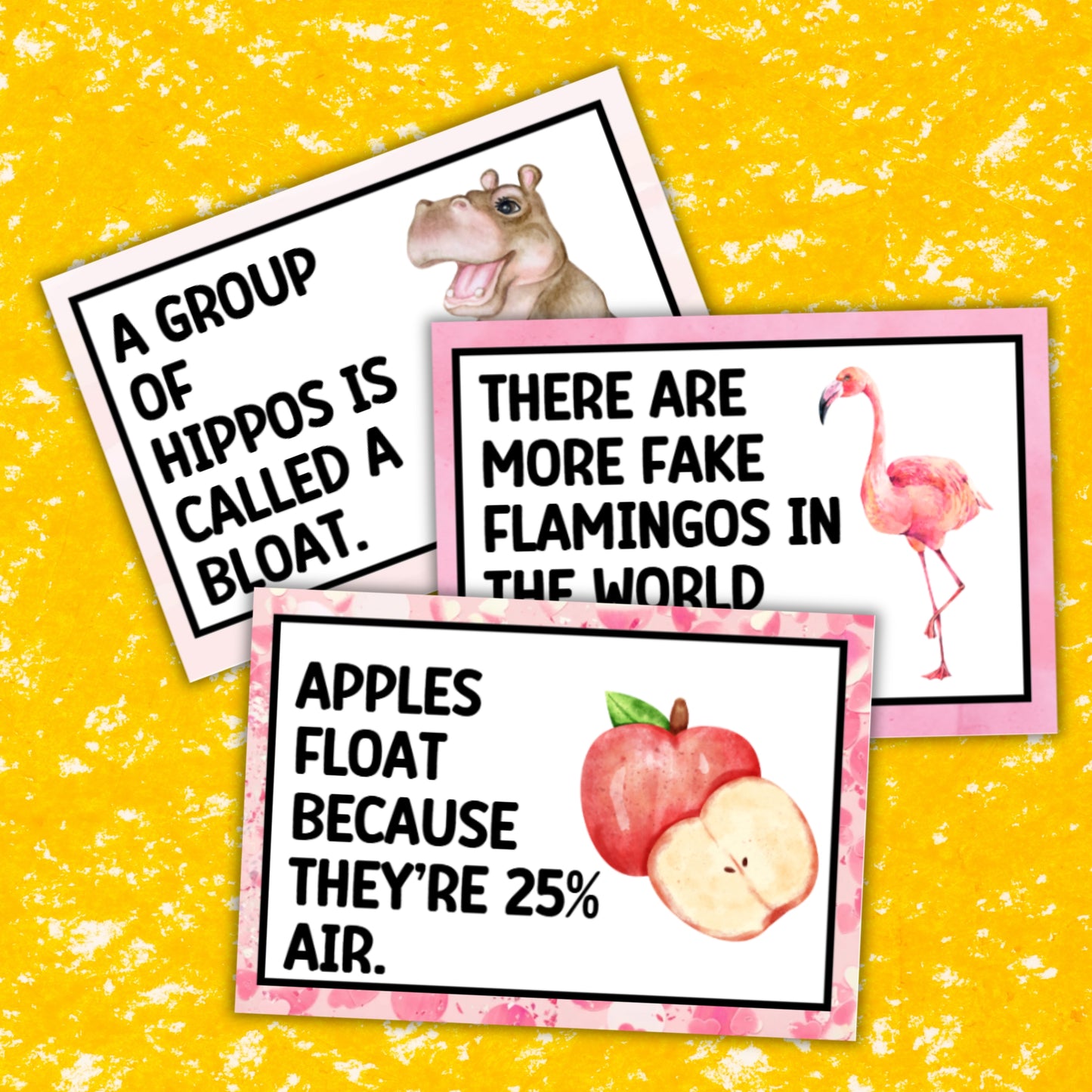 Lunch Box Trivia Cards For GIRLS