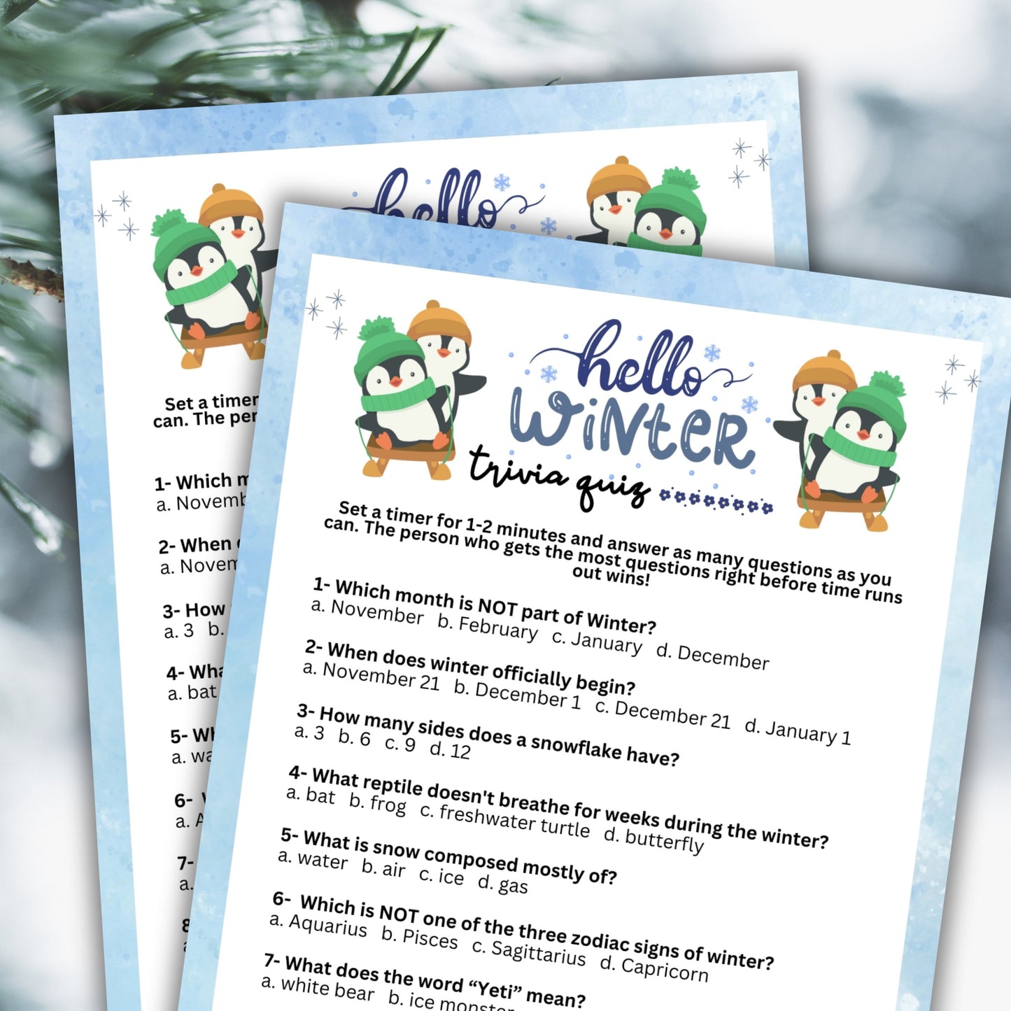 Winter Trivia Bundle